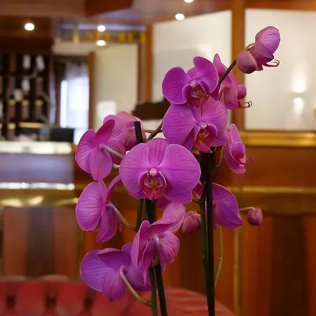 Gran Duca 4* Livorno